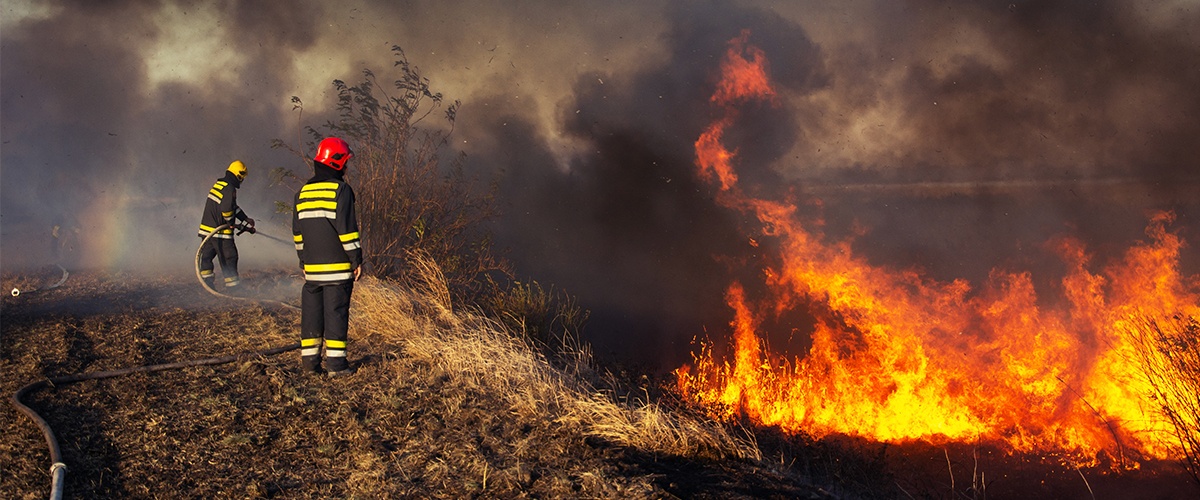 Wildfire notification and preparedness