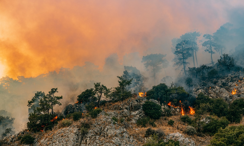 Resilience to climate change: Telecom networks and software for early warnings for all