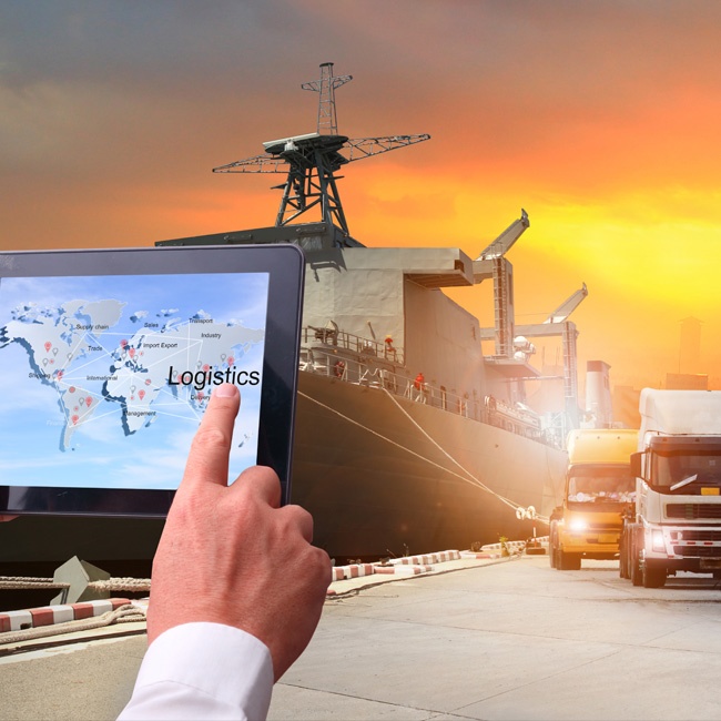 Logistics Natural Disaster