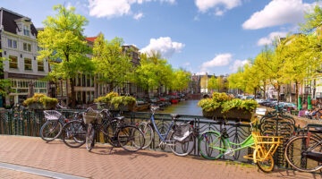 No Kings Day and ongoing protests