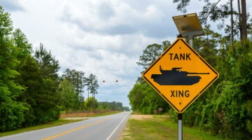 Fort Stewart domestic violent extremism