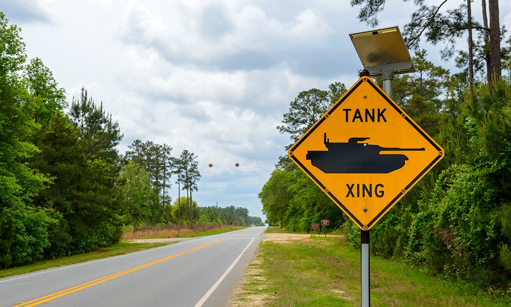 Fort Stewart domestic violent extremism